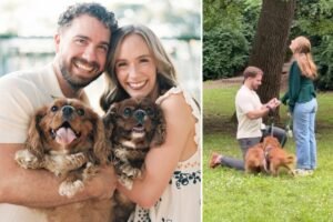Exclusive | Puppy Love: Couple with same dog breed met on apps and fell in love — and so did their pets