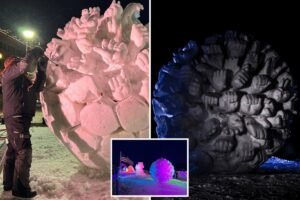 Team USA snow sculptors barred from championship over cold anti-ICE message