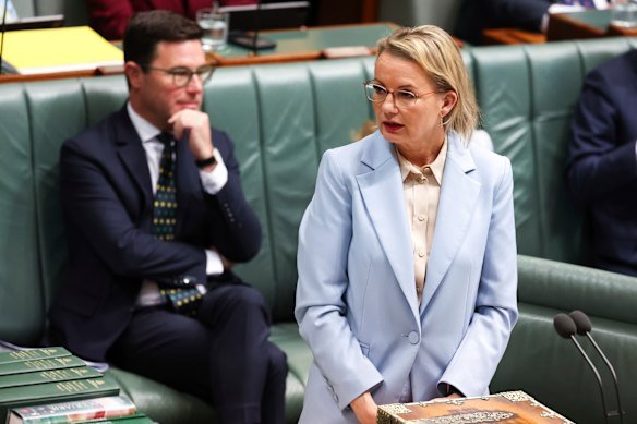 Sussan Ley has given David Littleproud a timeline for the Coalition reforming before she announces a Liberal-only opposition frontbench.