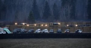 B.C. ostrich cull cost almost  million