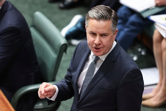 Health Minister Mark Butler said the Nipah virus was very rare, but deadly.