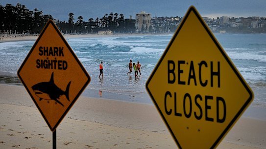 Swimmers in the water at Manly Beach where there are signs warning of a shark sighting and that the beach is closed following yesterday’s shark attack. 