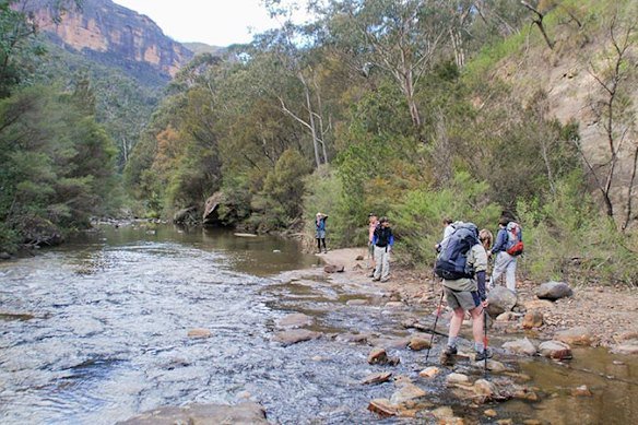 A creek near Acacia Flat campground, Blue Mountains National Park