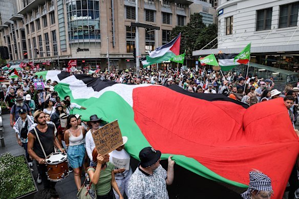 Pro-Palestinian protesters in Sydney in October last year.