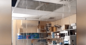 Burst pipes flood Montreal mental health hospital, research labs damaged