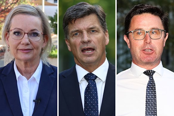 Coalition woes: Liberal leader Sussan Ley, Liberal MP Angus Taylor and Nationals leader David Littleproud.