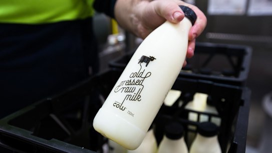 News. Factory of Made By Cow, Raw Milk. First legal raw milk product will hit shelves next Thursday. At the moment banned because of a deadly bacteria. stuff.Photograph by Edwina Pickles. Taken on 26th May 2016.