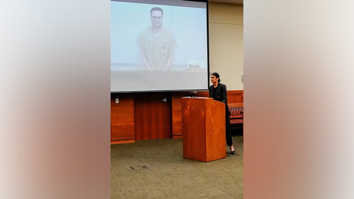 Diane Menashe standing in a courtroom while Michael McKee appears on a closed-circuit television screen.