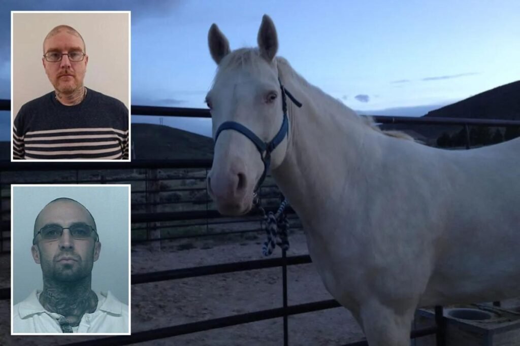 Washington gang member sacrificed horse in bizarre ritual so murdered pal could ‘ride it into the Valhalla’