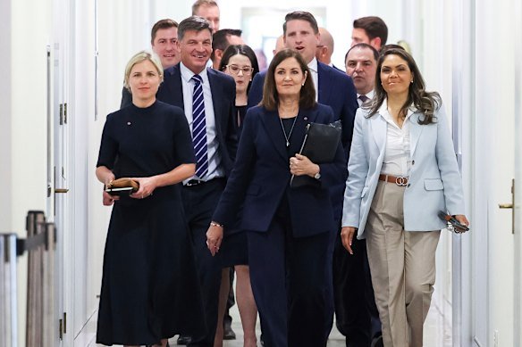 Senator Jessica Collins, Angus Taylor, Senator Sarah Henderson, Andrew Hastie and Senator Price, together with other Liberal MPs and senators, arrive for a Liberal party room meeting late last year.