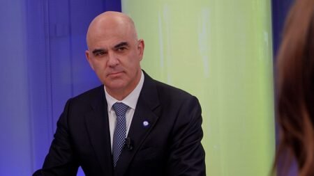 Reviewing ECHR over migration could set dangerous precedent – CoE boss