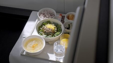 Unique in-flight meals from around the world