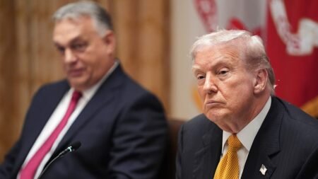 Newsletter: Trump endorses Orbán