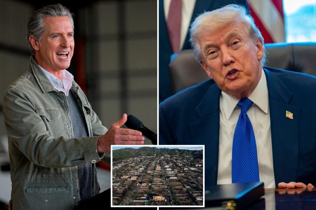 Gavin Newsom attacks Trump’s wildfire rebuild order in bizarre rant: ‘Piss on the grasshoppers to hear them sing’