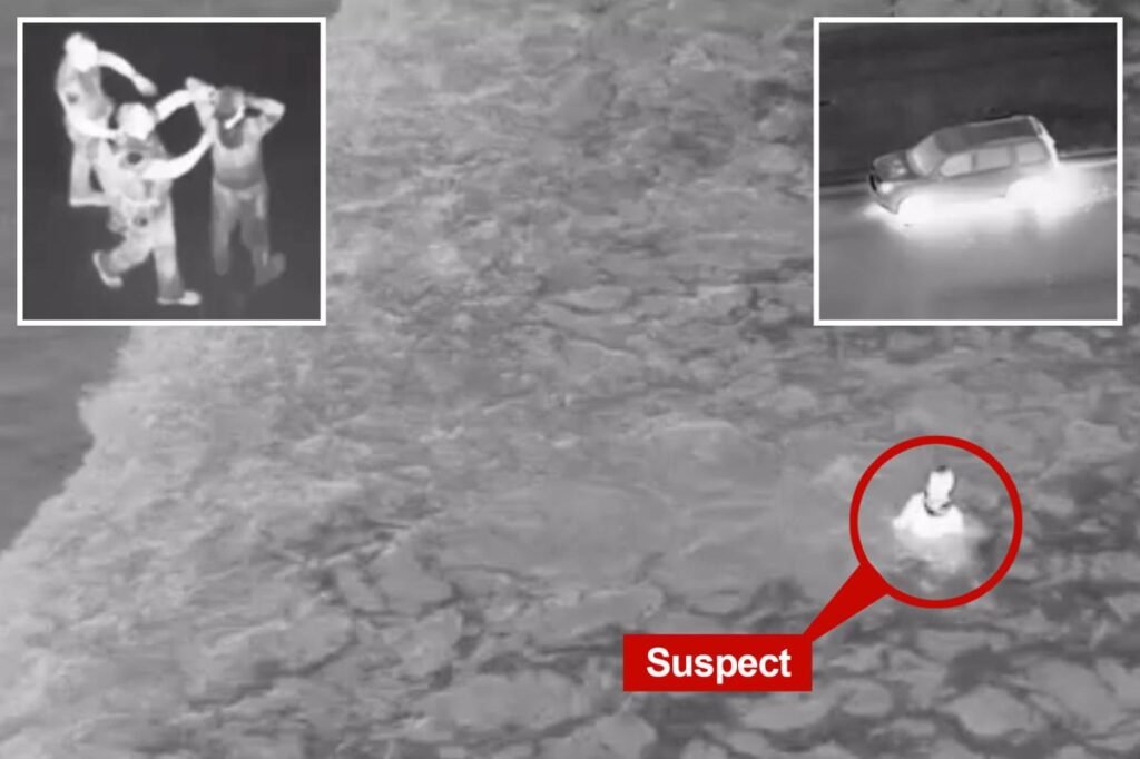 Swim-witted car thief tries to ditch California cops by diving into ocean