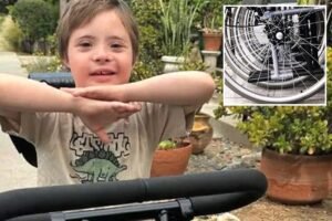 Heartless thief steals 9-year-old special needs boy’s adaptive tricycle