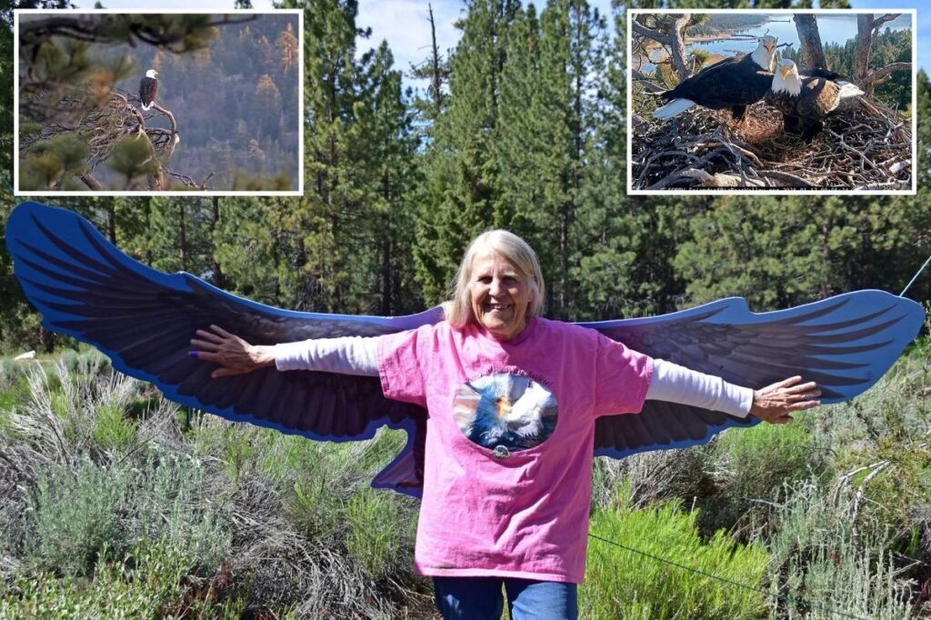 Voice of famed Big Bear bald eagle cam tragically passes away after delighting viewers for a decade