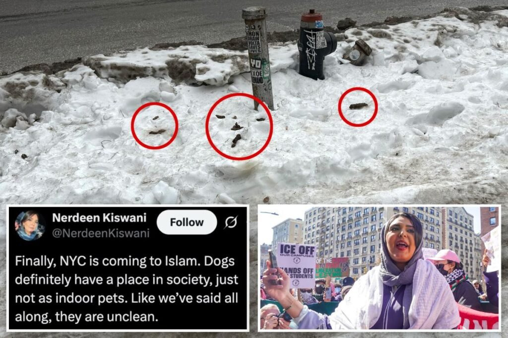 Anti-Israel activist quips dog poop apocalypse proves why NYC should turn to Islam