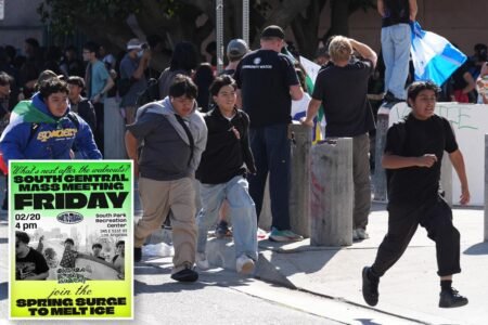 Radical SoCal group sets next anti-ICE ‘mass meeting’ as White House slams ‘far-left’ orgs that target law enforcement