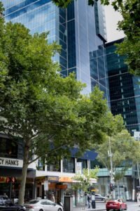 Smuggled cigarettes for sale on day one of new licensing requirement