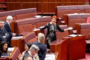 One Nation leader returns to Senate after burqa stunt ban