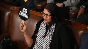 Watchdog releases scathing report on Tlaib’s alleged ties to terrorist groups warning of ‘potential risks’
