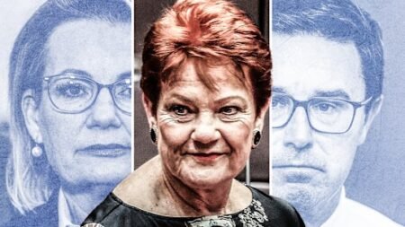 ‘Underestimate Pauline Hanson and Barnaby Joyce at your peril’