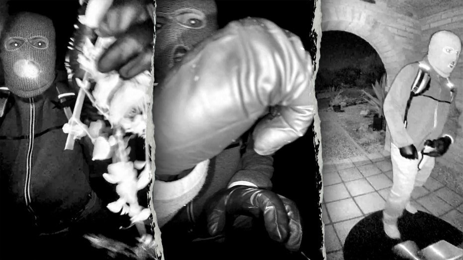 Screengrabs of person of interest in Nancy Guthrie disappearance 