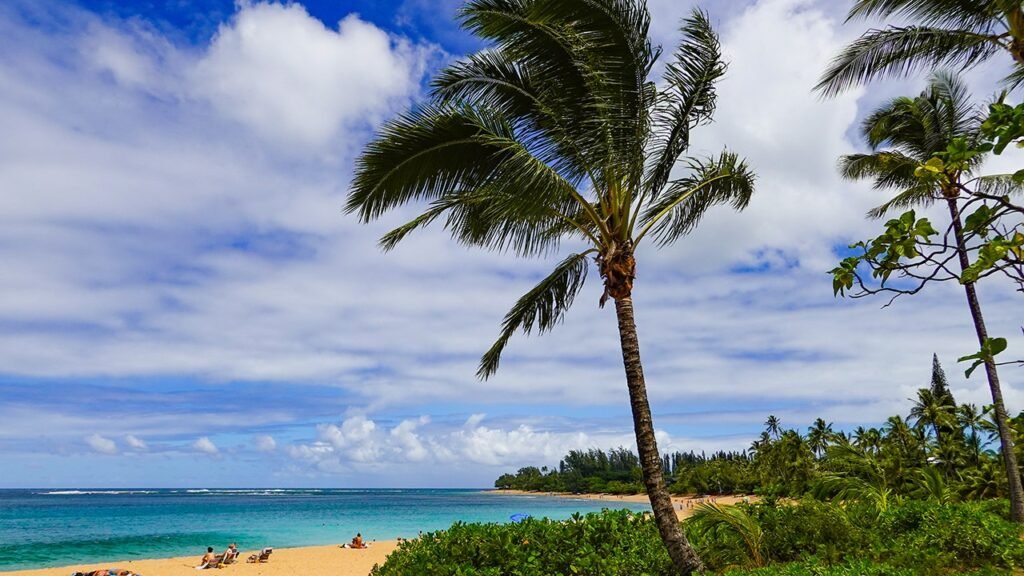 Hawaii cruise thrown into chaos after emergency at sea forces port change