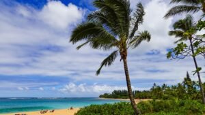 Hawaii cruise thrown into chaos after emergency at sea forces port change