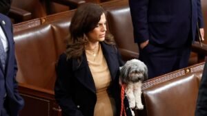 Nancy Mace proposes bill to make aliens deportable, inadmissible for animal cruelty