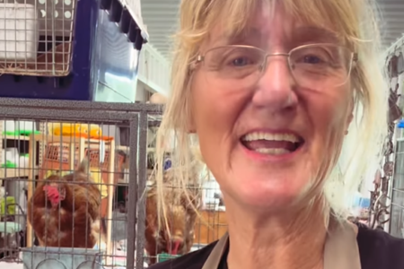 Animal abuse allegations surface at Samford petting zoo that employed paedophile Steve Harvey