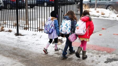 Campus Radicals Newsletter: Teacher who lost job over 2-word post breaks silence, Chicago ‘racial segregation’