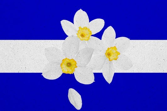 Illustration: The Sydney Morning Herald/The Age