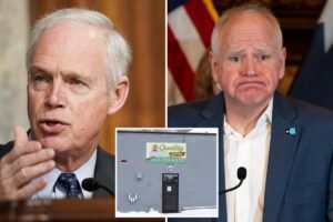 Exclusive | GOP senator demands Minnesota fraud oversight records: ‘Public deserves to know the extent’ 