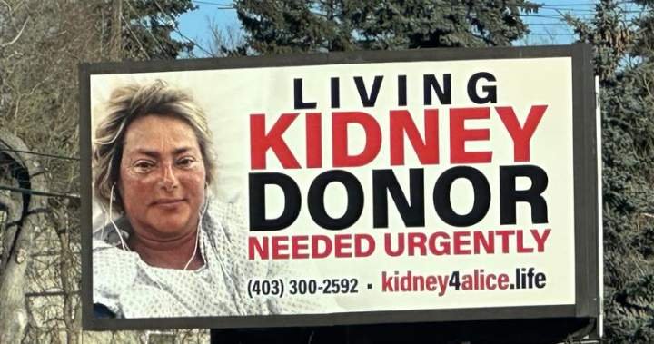 Calgary family uses billboard in plea to find a kidney donor Calgary family uses billboard in plea to find a kidney donor