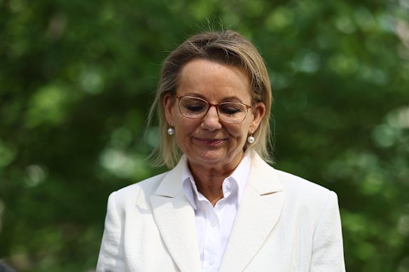 Sussan Ley addressed the media after her ousting as Liberal leader on Friday.