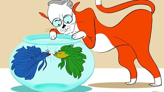 Illustration by Simon Letch