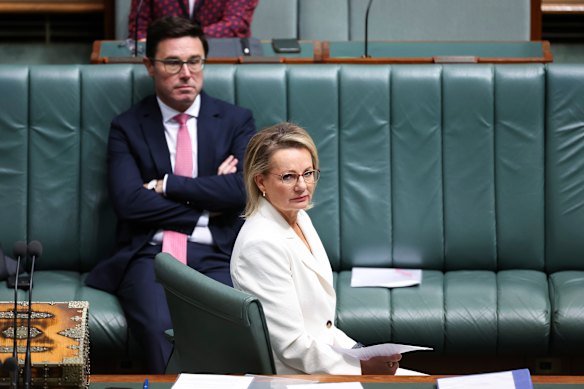 Nationals leader David Littleproud and Opposition Leader Sussan Ley in question time before the parties split. 