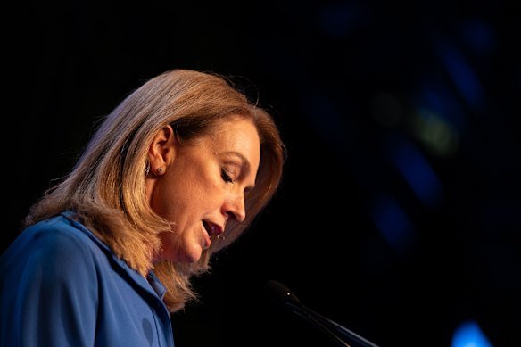 NSW Opposition Leader Kellie Sloane says Sydney is risking another “lost decade” for planning.