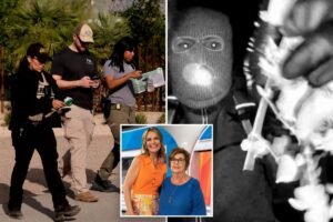 Nancy Guthrie neighbor saw suspicious young man walking in community weeks before disappearance — ‘just didn’t fit’