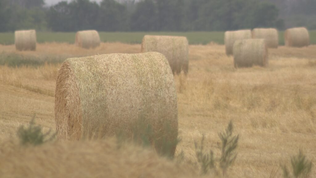 Agriculture conference aims to share insights between youth and experienced farmers