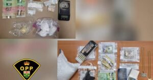 Month-long OPP probe leads to 7 arrests and 54 drug, gun charges