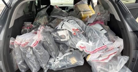 Nearly 200 charges laid in Mississauga break-and-enter investigation Nearly 200 charges laid in Mississauga break-and-enter investigation