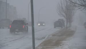 February snowstorm hits Saskatchewan after brief taste of spring February snowstorm hits Saskatchewan after brief taste of spring