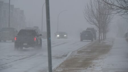 February snowstorm hits Saskatchewan after brief taste of spring