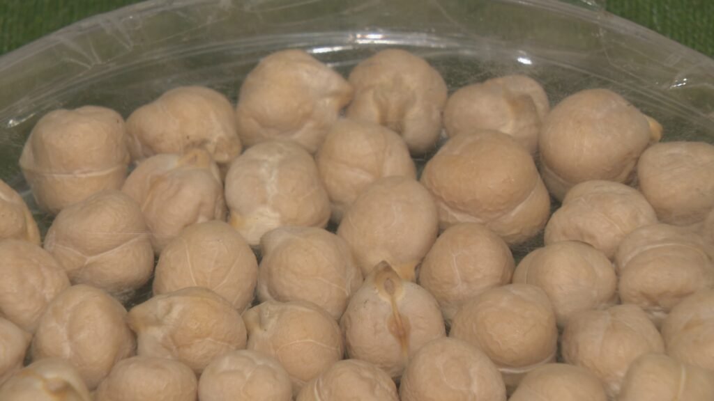 Saskatchewan pulse industry welcomes M federal market diversification investment