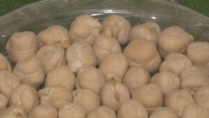 Saskatchewan pulse industry welcomes M federal market diversification investment