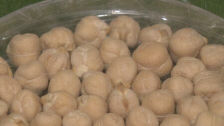 Saskatchewan pulse industry welcomes M federal market diversification investment