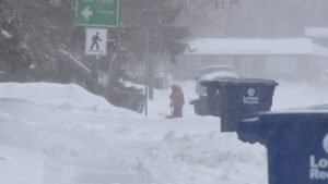 Saskatoon residents dig out from February snowstorm